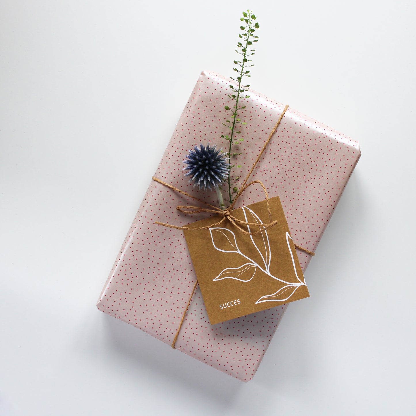 CADEAULABEL - C1 - SUCCES