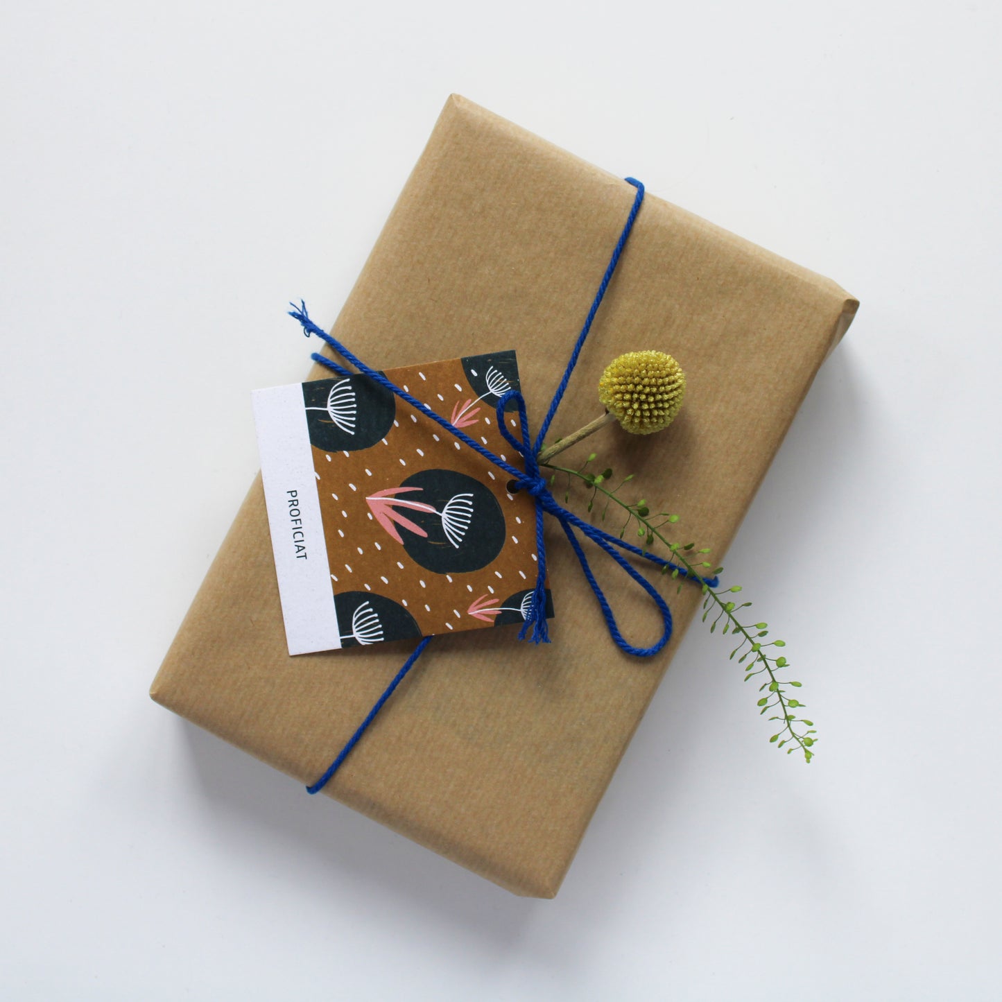 CADEAULABEL - C2 - PROFICIAT