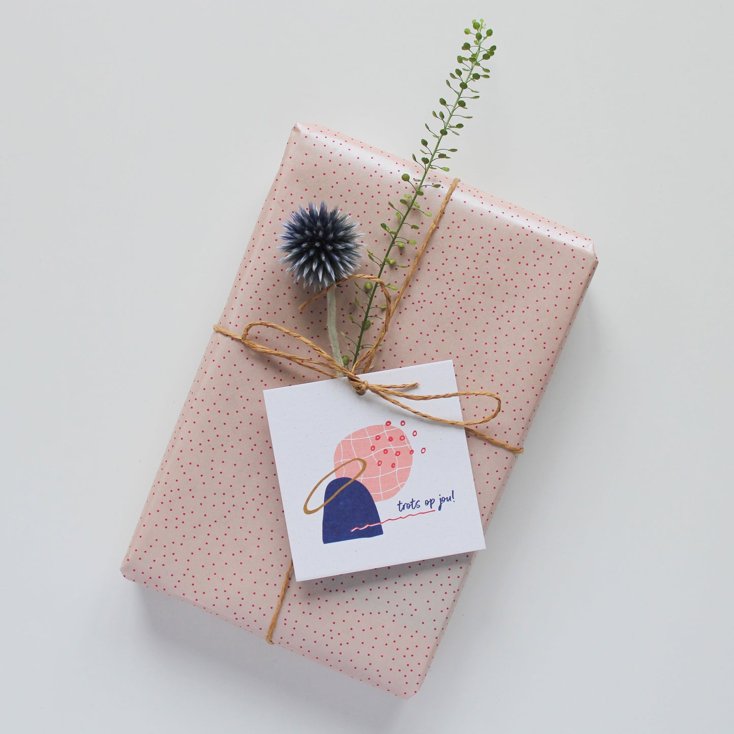 CADEAULABEL - C1 - TROTS OP JOU
