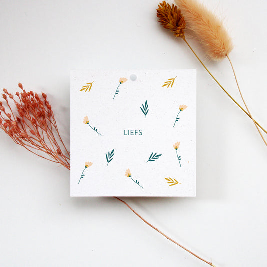 CADEAULABEL - C3 - LIEFS