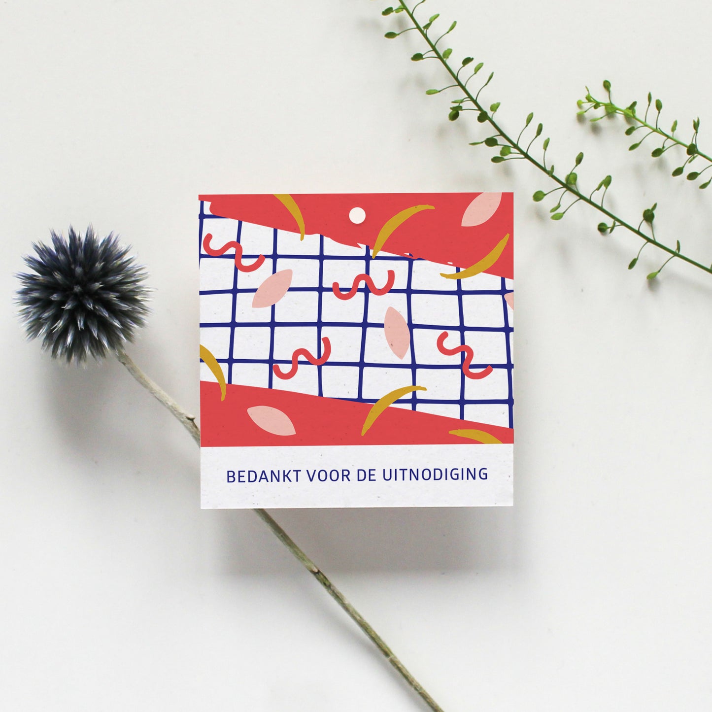 SET CADEAULABELS - 12 STUKS - COLLECTIE 2