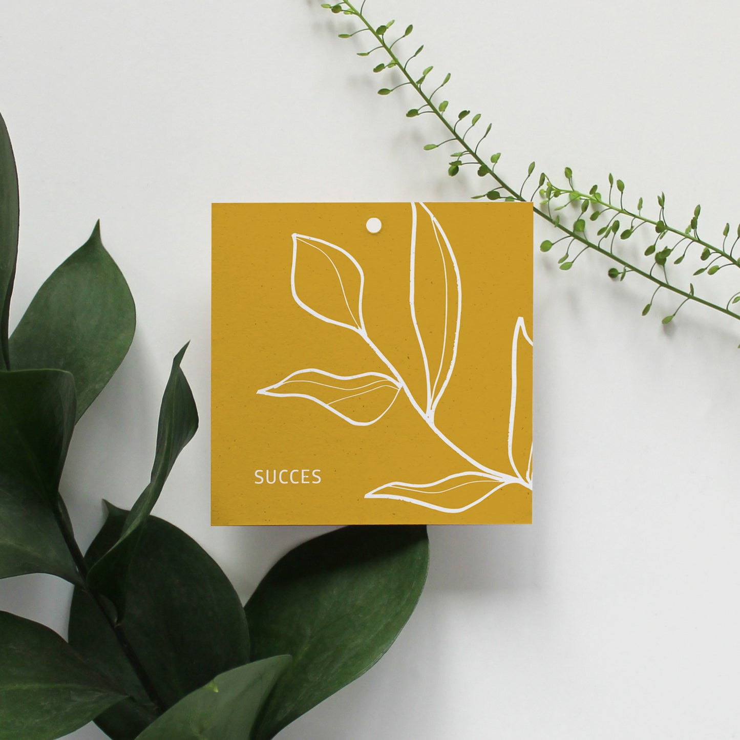 CADEAULABEL - C1 - SUCCES