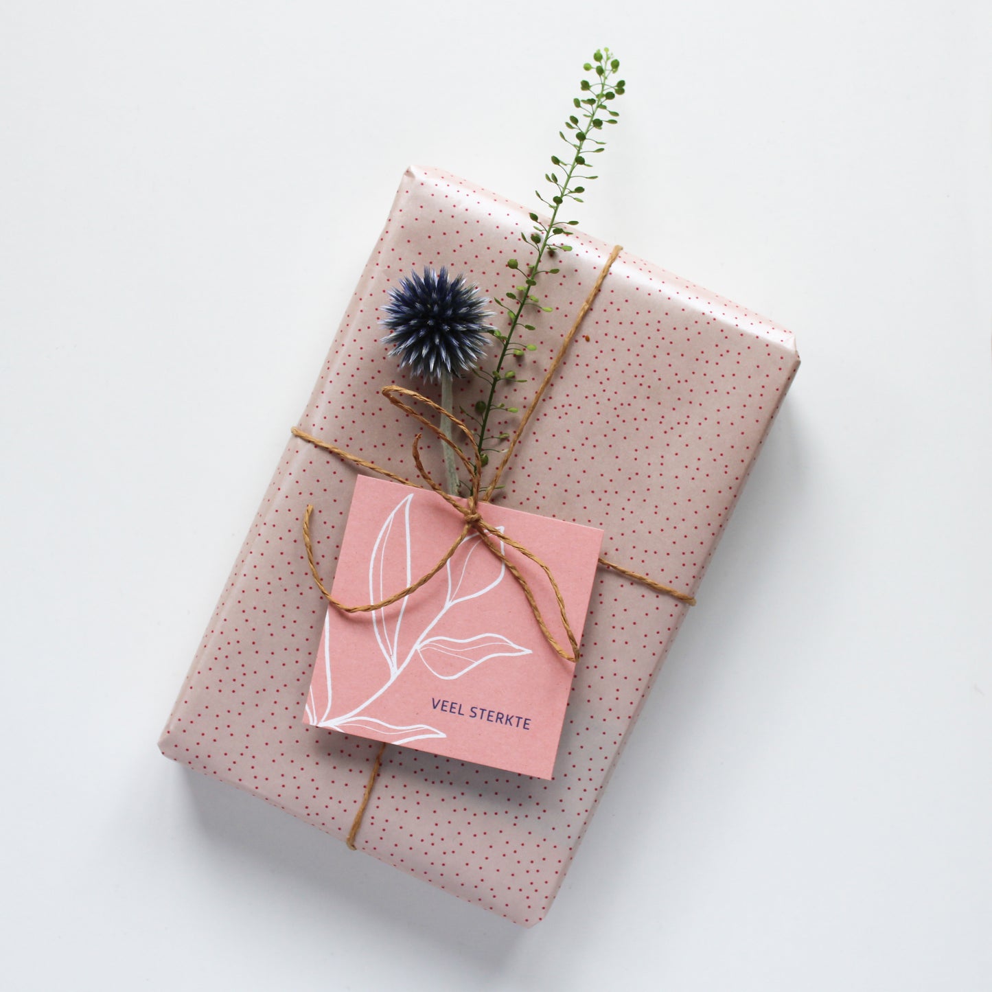CADEAULABEL - C1 - VEEL STERKTE