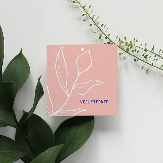 CADEAULABEL - C1 - VEEL STERKTE