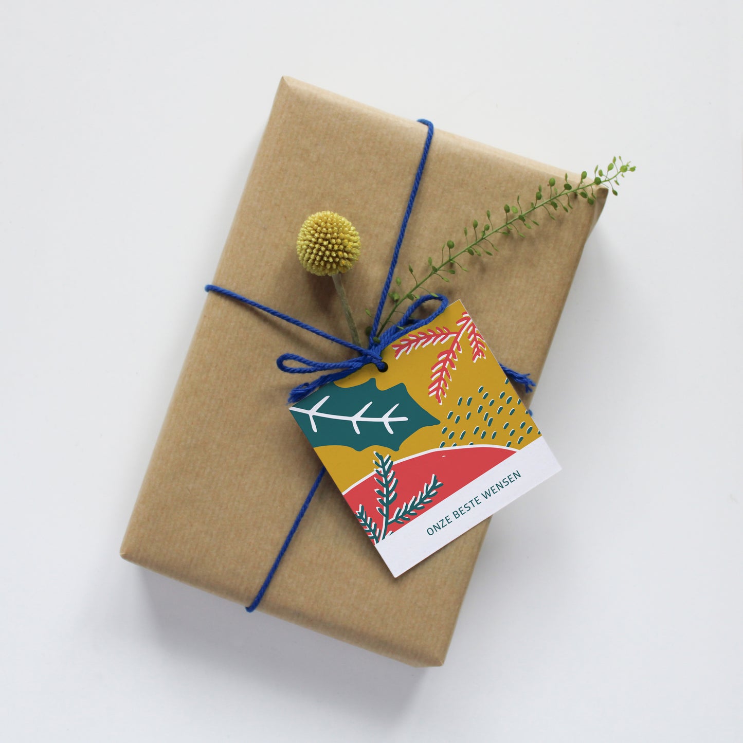 CADEAULABEL - C2 EXTRA - ONZE BESTE WENSEN