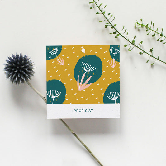 CADEAULABEL - C2 - PROFICIAT