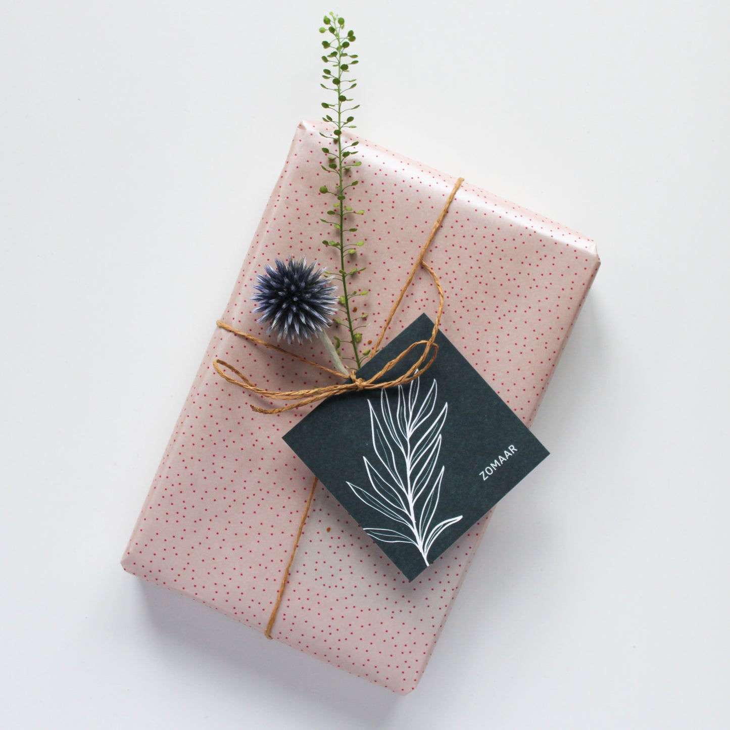CADEAULABEL - C1 - ZOMAAR