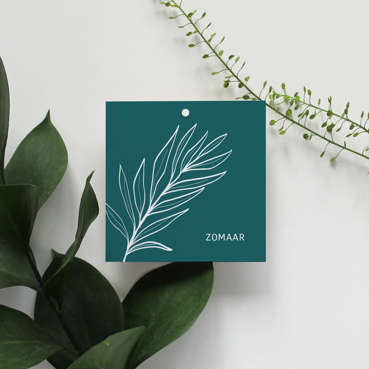 CADEAULABEL - C1 - ZOMAAR